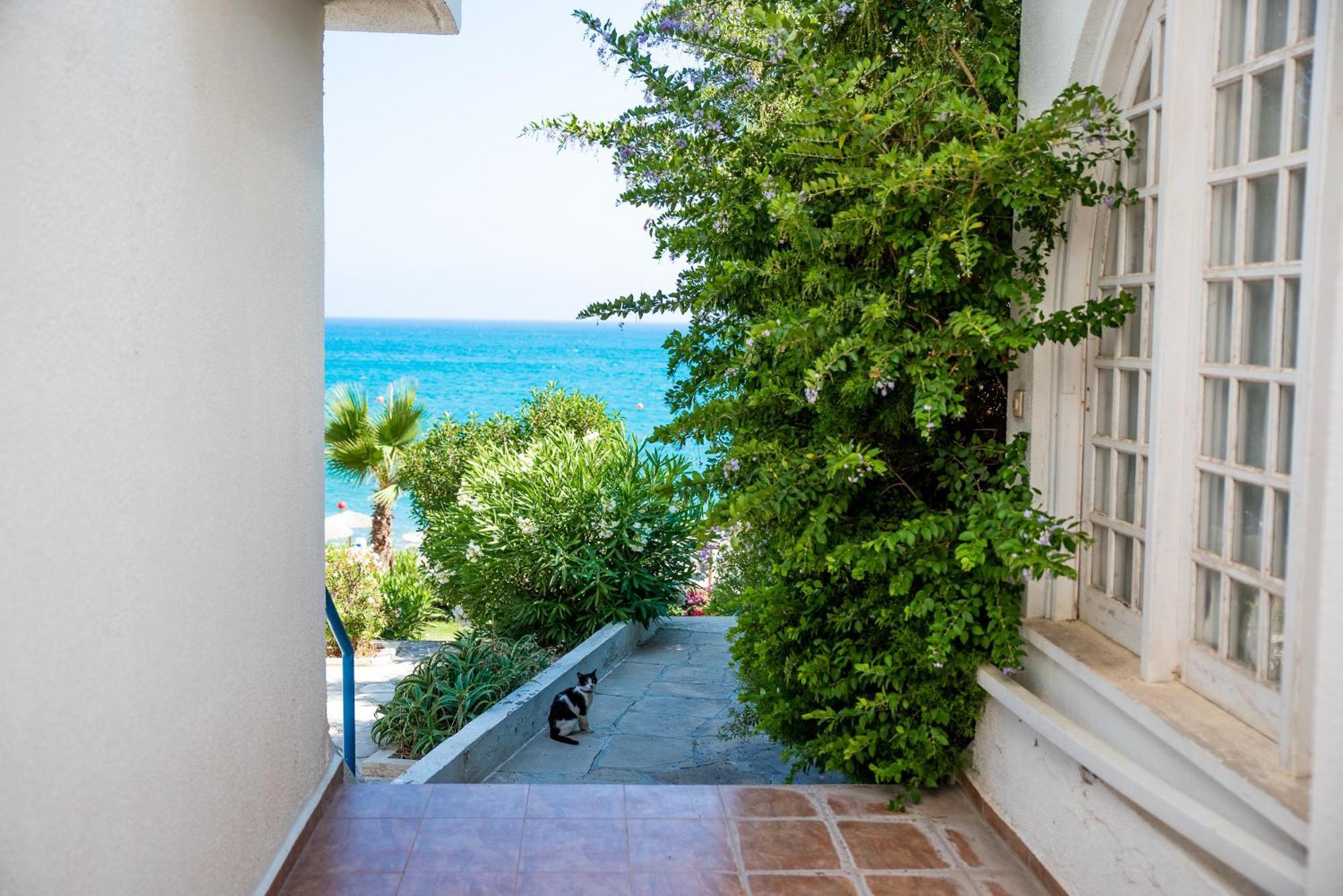 Pissouri Bay Studio Eksteriør billede